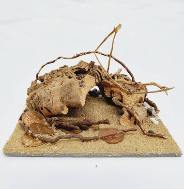 AntScape Biohobby 0223070501004