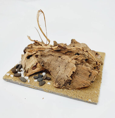 AntScape Biohobby 0223070501004