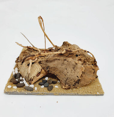 AntScape Biohobby 0223070501004