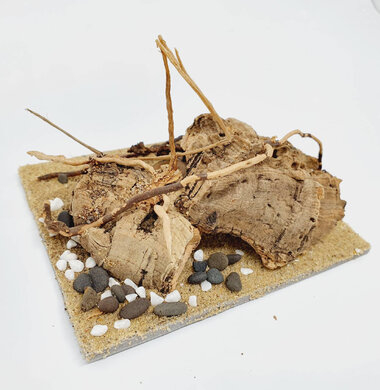 AntScape Biohobby 0223070501004