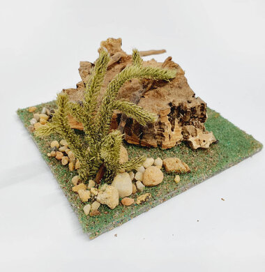 AntScape Biohobby 0223070501006