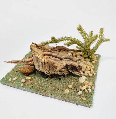 AntScape Biohobby 0223070501006