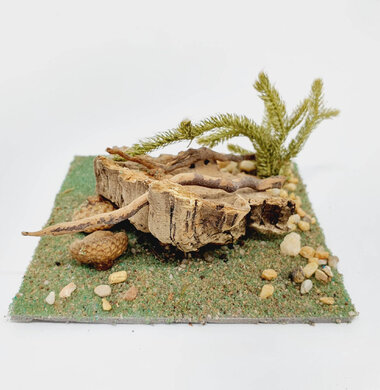 AntScape Biohobby 0223070501006