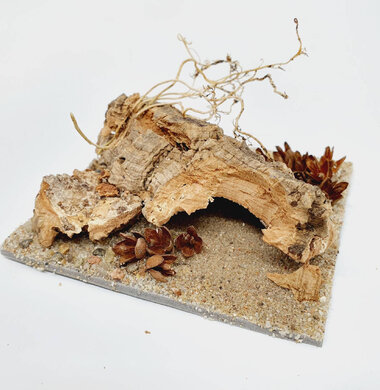 AntScape Biohobby 0223070501007