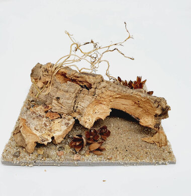 AntScape Biohobby 0223070501007