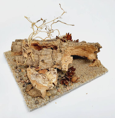 AntScape Biohobby 0223070501007