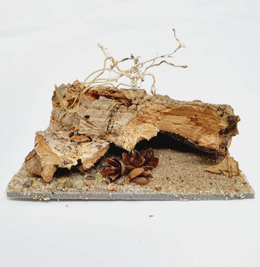 AntScape Biohobby 0223070501007