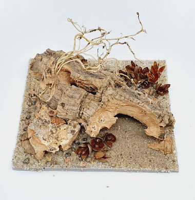 AntScape Biohobby 0223070501007