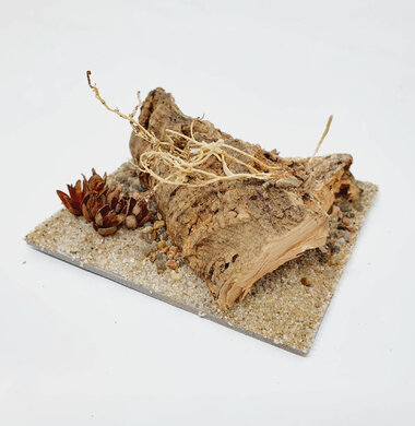 AntScape Biohobby 0223070501007