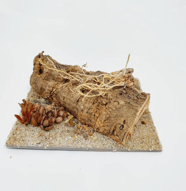 AntScape Biohobby 0223070501007