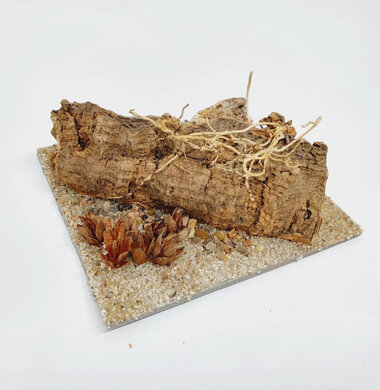 AntScape Biohobby 0223070501007