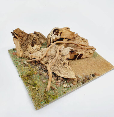 AntScape Biohobby 0223070501009