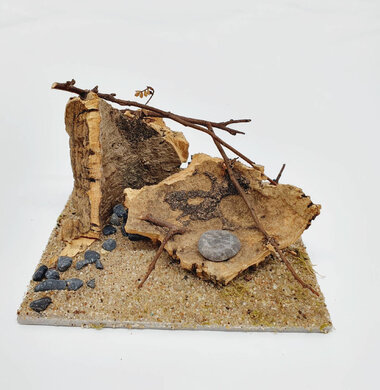 AntScape Biohobby 0223070501010