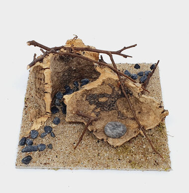 AntScape Biohobby 0223070501010