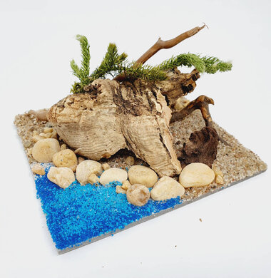 AntScape Biohobby 0223070502005