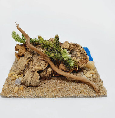 AntScape Biohobby 0223070502005