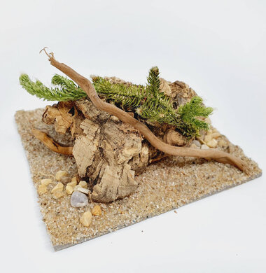 AntScape Biohobby 0223070502005