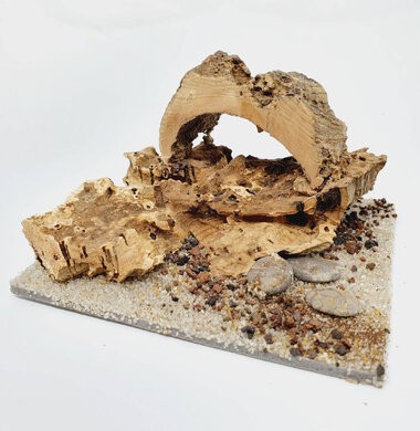 AntScape Biohobby 0223070503012