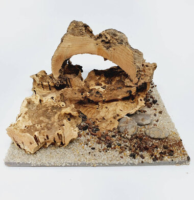 AntScape Biohobby 0223070503012