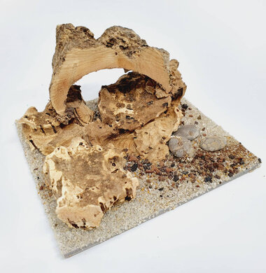 AntScape Biohobby 0223070503012