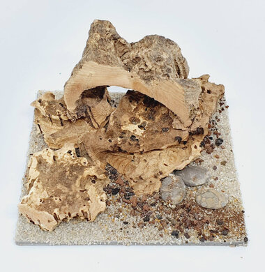 AntScape Biohobby 0223070503012