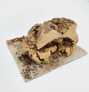 AntScape Biohobby 0223070503012