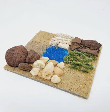 AntScape Biohobby 0223070508025