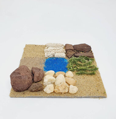 AntScape Biohobby 0223070508025