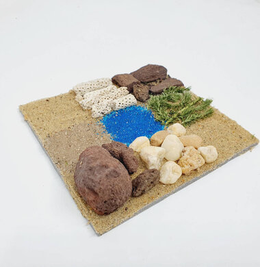 AntScape Biohobby 0223070508025