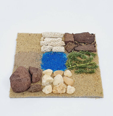 AntScape Biohobby 0223070508025