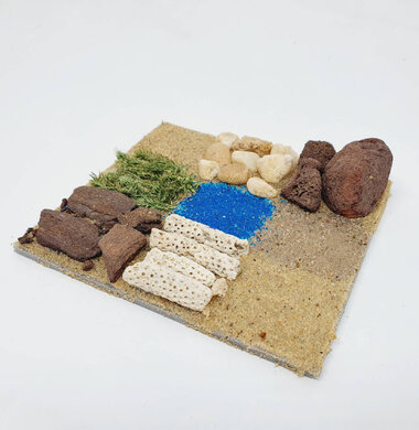 AntScape Biohobby 0223070508025