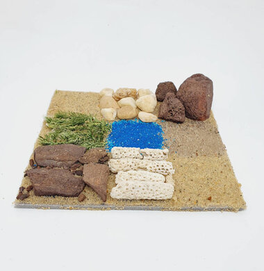 AntScape Biohobby 0223070508025