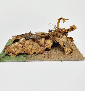 AntScape Biohobby 0323021401018