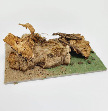 AntScape Biohobby 0323021401018