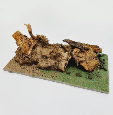 AntScape Biohobby 0323021401018