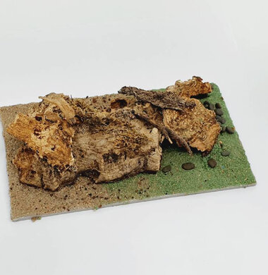 AntScape Biohobby 0323021401018