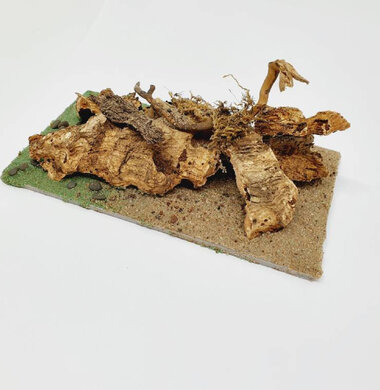 AntScape Biohobby 0323021401018