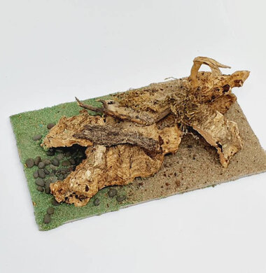 AntScape Biohobby 0323021401018