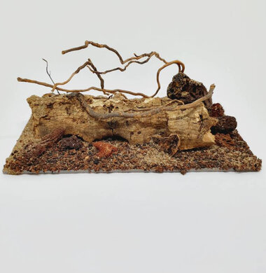 AntScape Biohobby 0323021403019