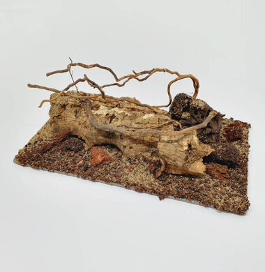 AntScape Biohobby 0323021403019