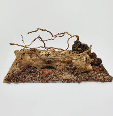 AntScape Biohobby 0323021403019