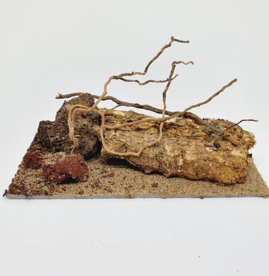 AntScape Biohobby 0323021403019