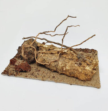 AntScape Biohobby 0323021403019