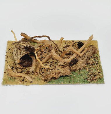 AntScape Biohobby 0323021401001