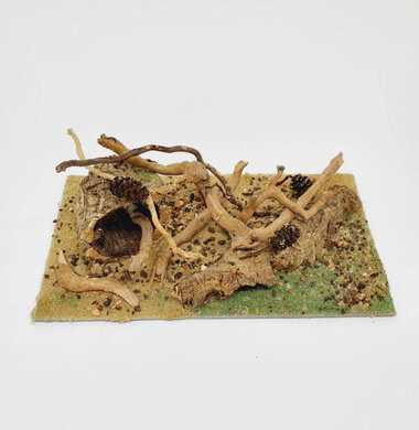 AntScape Biohobby 0323021401001