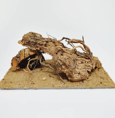 AntScape Biohobby 0323021501004