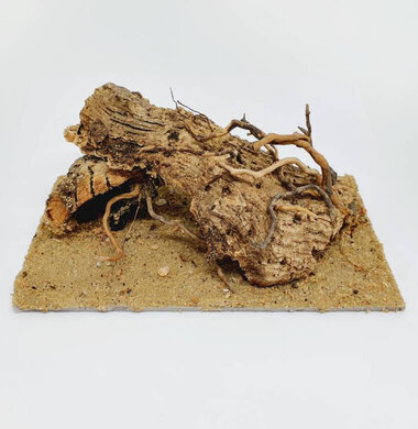 AntScape Biohobby 0323021501004