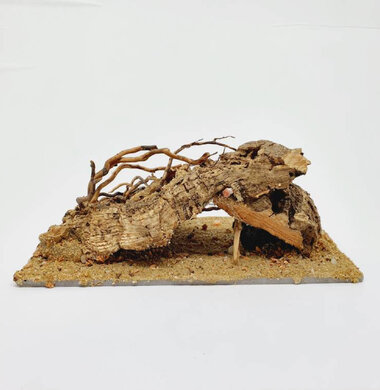 AntScape Biohobby 0323021501004