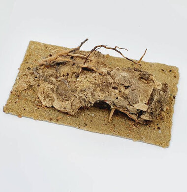 AntScape Biohobby 0323021501004