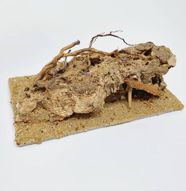 AntScape Biohobby 0323021501004